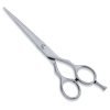 Hair Cutting Scissor