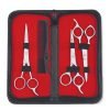 Barber Scissors Set