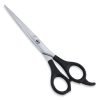 Plastic Handle Scissors