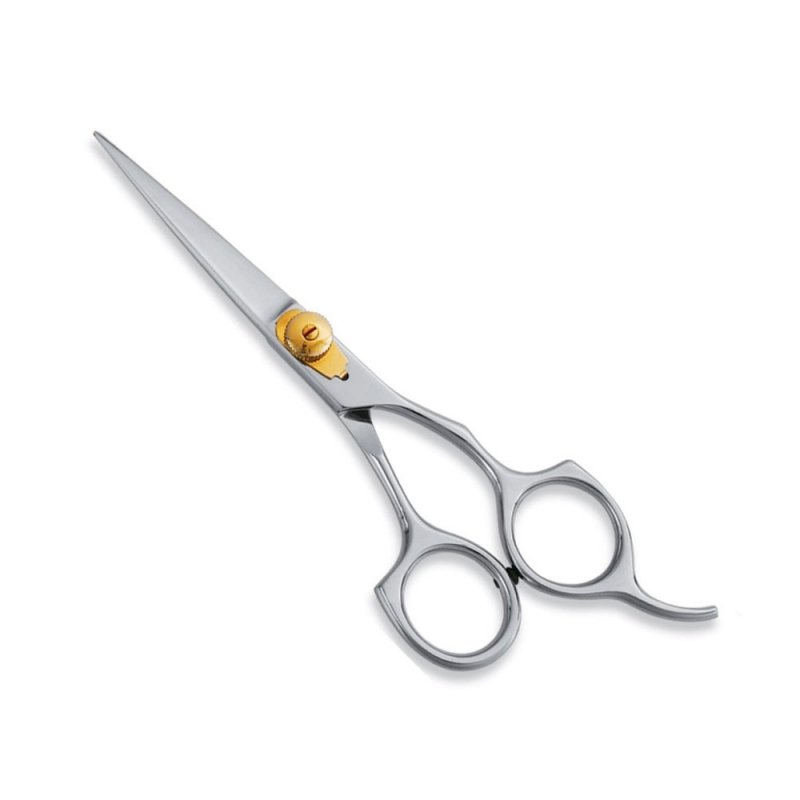 Professional Hair Dressing Scissors Style Handle