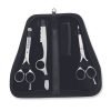 Professional Hairdressing Scissors Kit