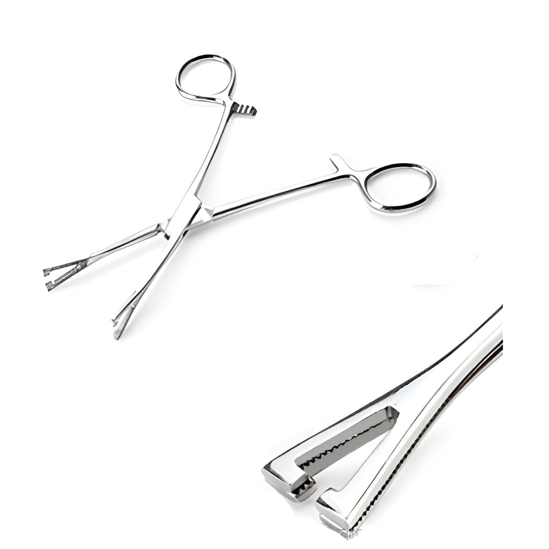 STANDARD PENNINGTON FORCEPS
