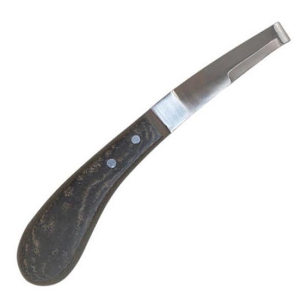 Cattle Hoof Knife - Image 2