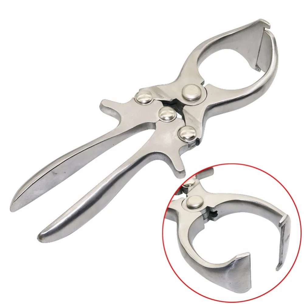 Castration Forceps