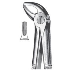 Extracting Forceps, English Pattern