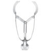 Ivory Matrix Retainer Manufacturer Surgical Stainless Steel Ivory Pattern Dental Matrix Holder Supplier Pak Line Industries