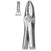 Extracting Forceps, English Pattern