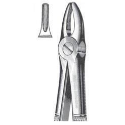 Extracting Forceps, English Pattern