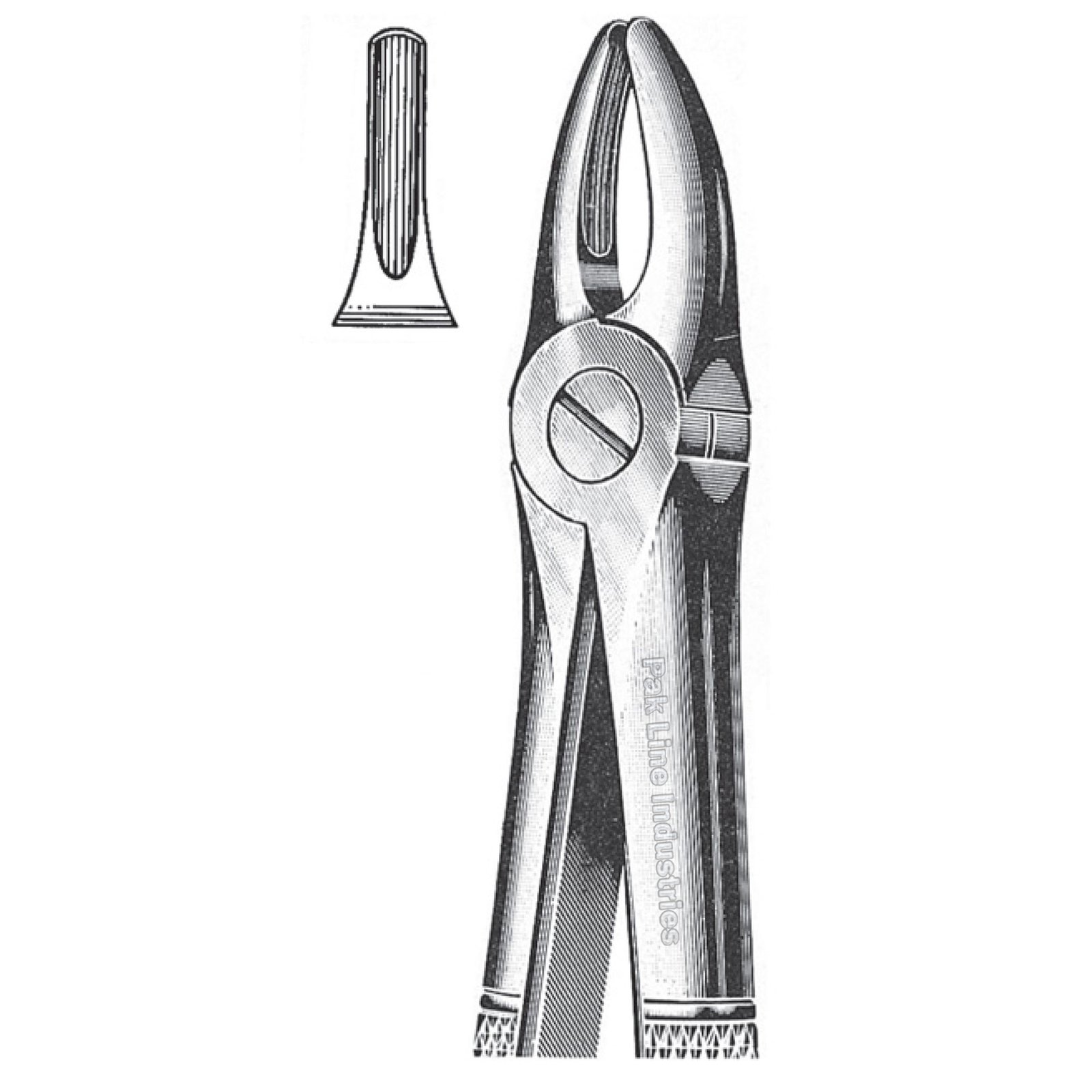 Extracting Forceps, English Pattern