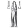 Extracting Forceps, English Pattern