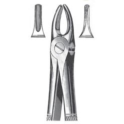 Extracting Forceps, English Pattern