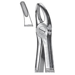 Extracting Forceps, English Pattern