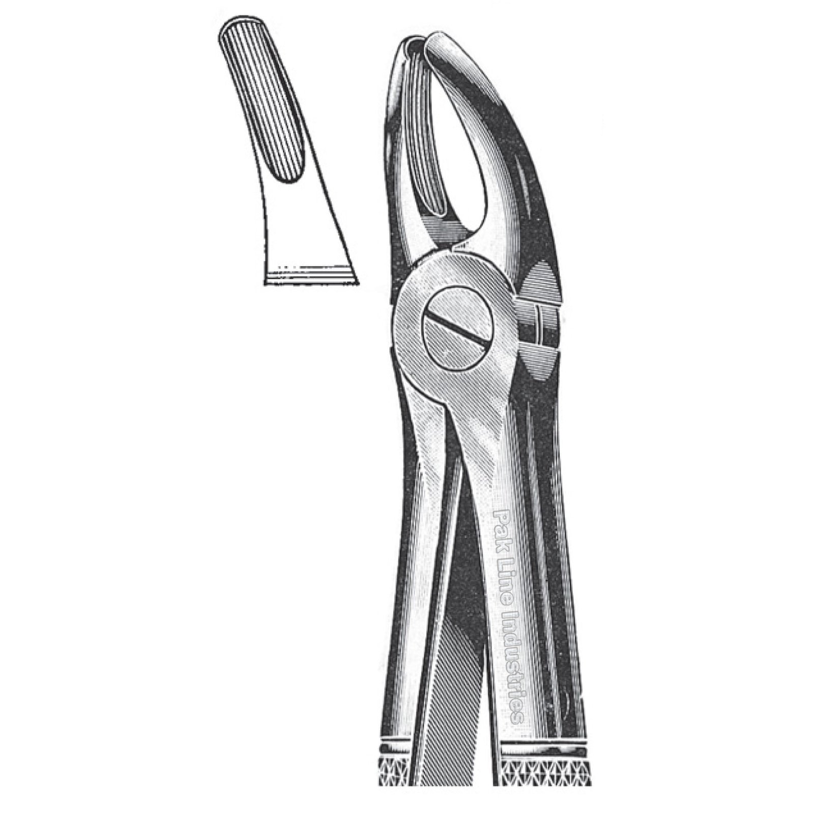 Extracting Forceps, English Pattern