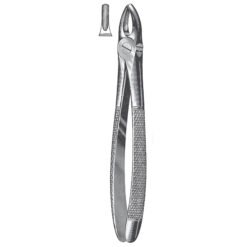 english pattern dental extracting forceps pak-line industries