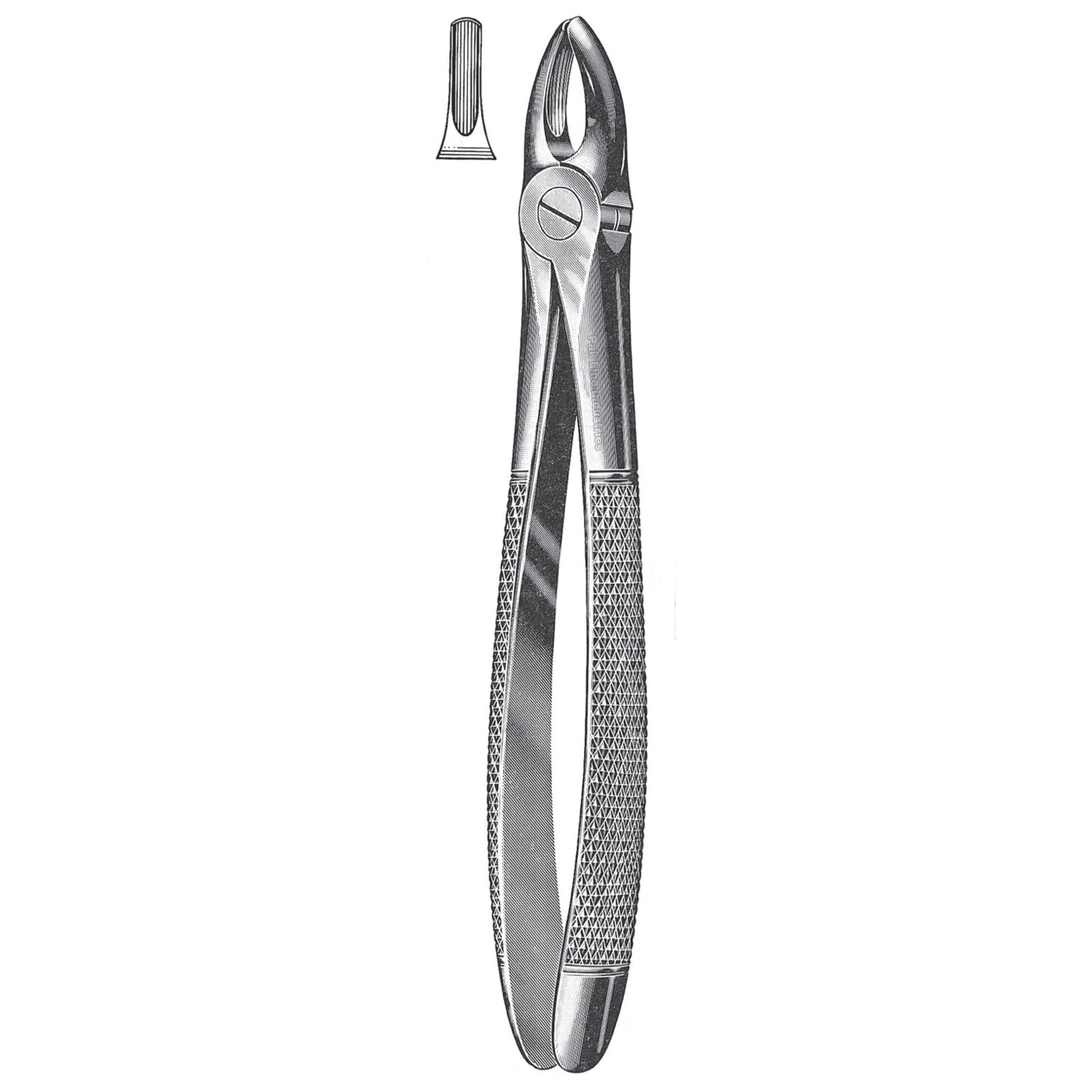 english pattern dental extracting forceps pak-line industries