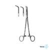 Lahey Dissecting Forceps - Art # PLI-3045 - Pak Line Industries